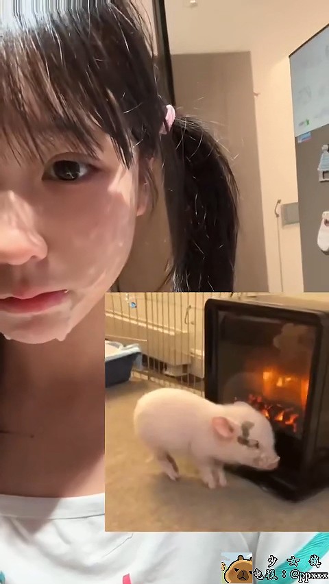 图片[2]-【PK】推特超绝双马尾萝莉【popo_iiiovo/幼熊】自慰啪啪合集【13V 19P 282M】 - 燃欲社-燃欲社