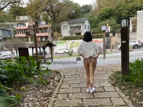 【PK】推特小奴淫藏版的小洞物【tailgirl0702】资源合集【145V 275P 525M】-燃欲社