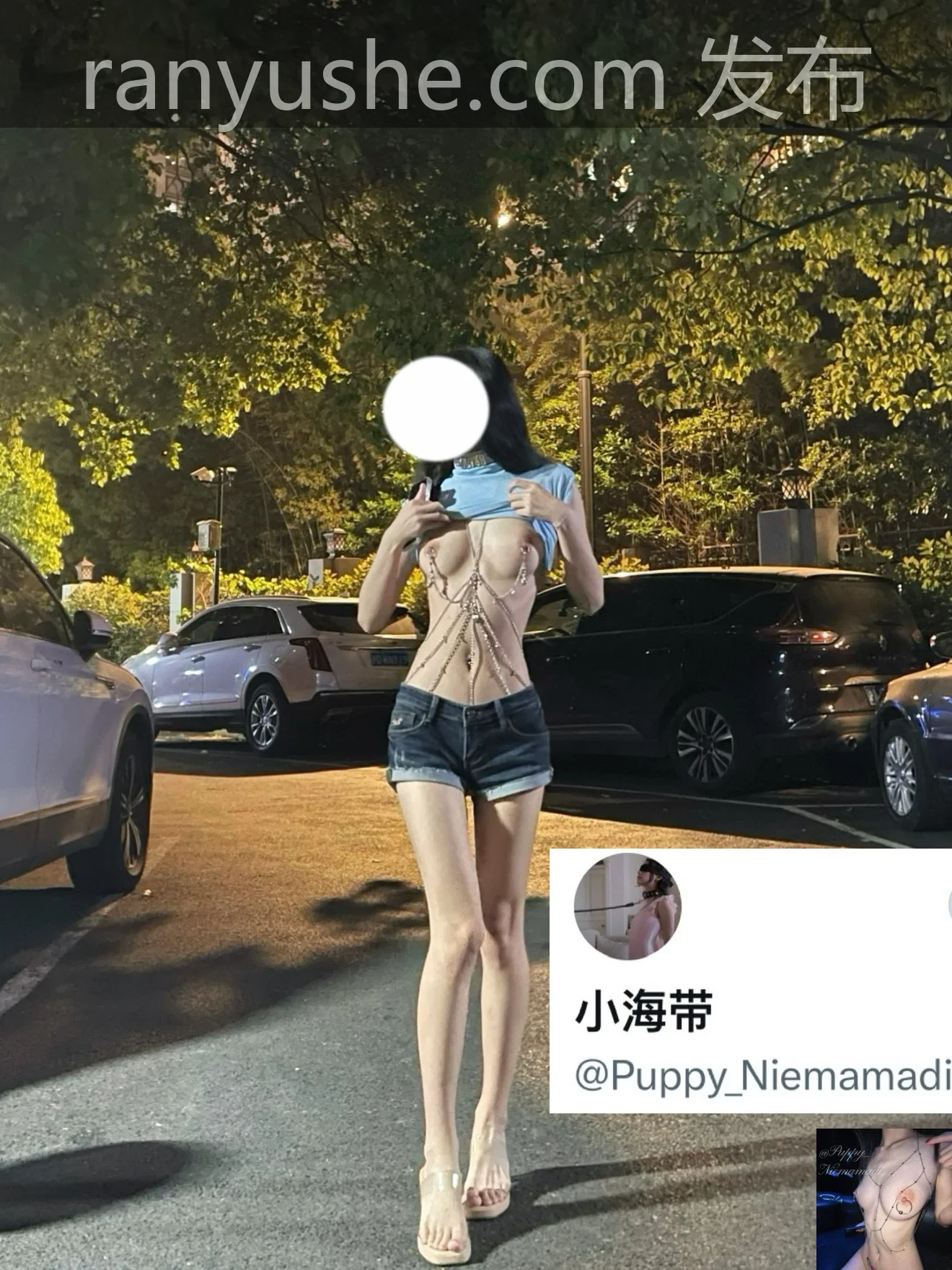 图片[1]-【PK】推特乳环少女【小海带/Puppy_Niemamadi】私拍合集【12V 245P 336M】 - 燃欲社-燃欲社