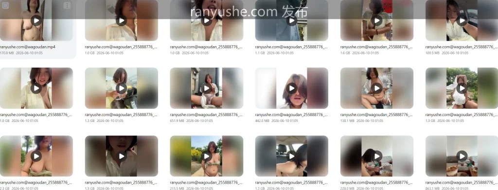 图片[6]-【PK】Stripchat【goudanlove】全裸开车露出合集【33V 31G】 - 燃欲社-燃欲社
